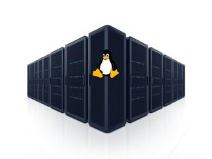 Linux Sunucu Hosting: İnanılmaz Performans ve Güvenlik